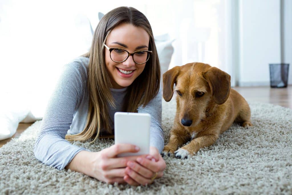 hundekrankenversicherung krankenversicherung hund